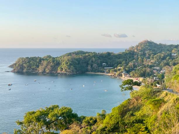 istock Lovely bay at Tobago 1487736100