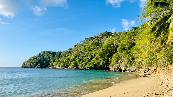 Tobago strand en palmbomen