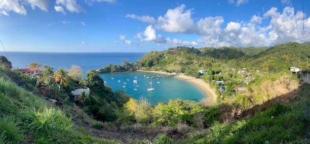 istock Lovely bay at Tobago 1487736284