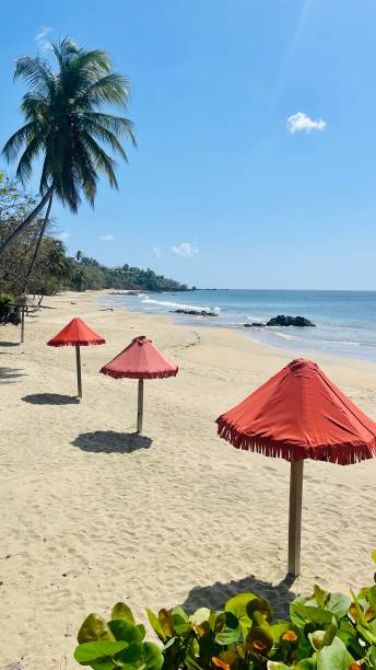 Beach at Tobago stock photo