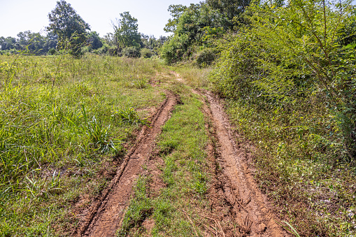 Dirt road in a wilderness area in the rural landscape just outside the Yala National Park in the Uva Province in Sri Lanka