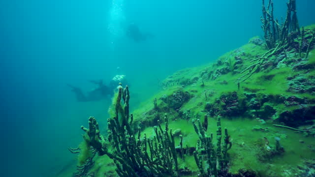 Beautiful underwater topography of Lake Baikal in background of divers.