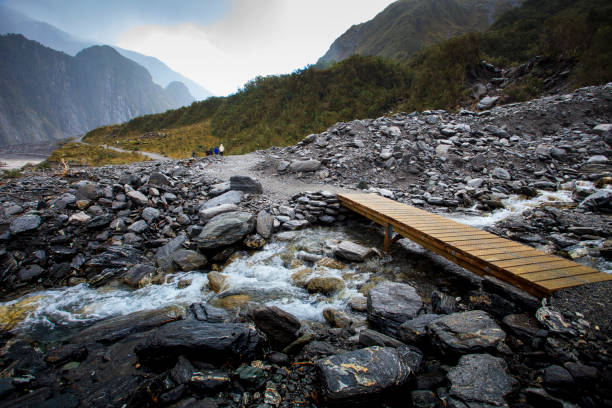 trekking trail w fox glacier southland, nowa zelandia, jeden z najpopularniejszych podróżujących destinaton - franz josef glacier zdjęcia i obrazy z banku zdjęć