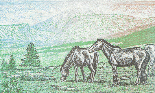 Horses on the Steppe Pattern Design on Mongolian Banknote