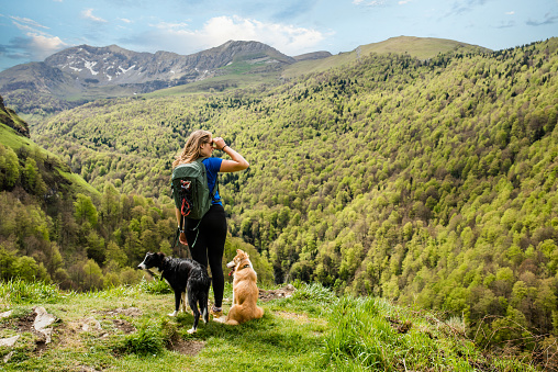 Young woman hiking in the mountains of the French Basque Country with her puppies