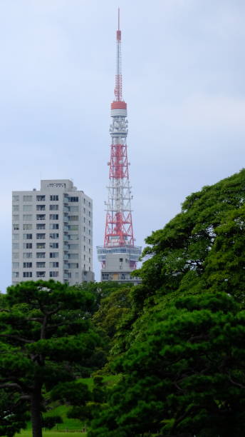 istock Tokyo Tower In The Jungle 1487751238