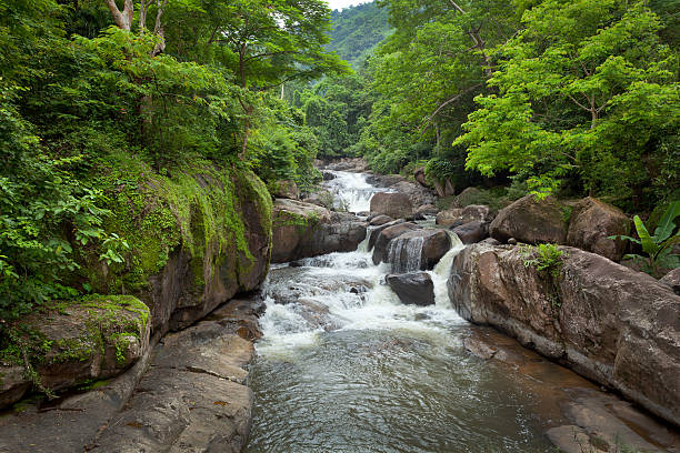 istock Tropical park outdoor at Nangrong Waterfall 148776332