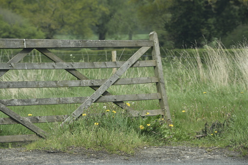 Wooden gate in agricultural field