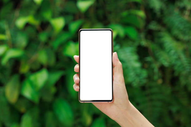 istock Against a lush green background, a woman's hand holds a smartphone with a blank screen, perfectly primed for a design mockup. 1487765377
