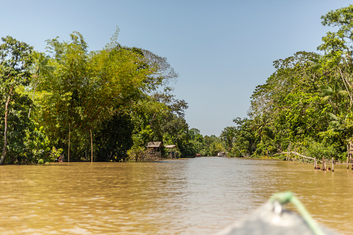 View of boat crossing Amazonian river with forest