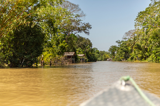 View of boat crossing Amazonian river with forest
