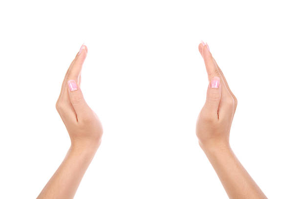 istock Showing hand-XXXL 148776613