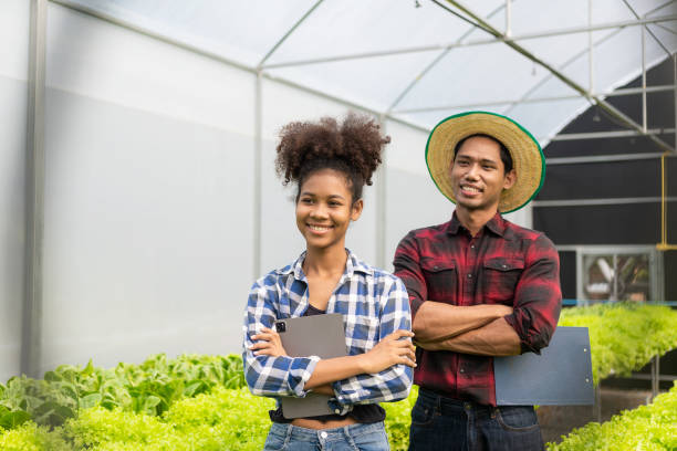 istock Two asian gardeners working in hydroponics vegetable farm holding tablet walking checking vegetables for harvest, male and female farmer holding green salad box looking at camera with smile in farm 1487768810