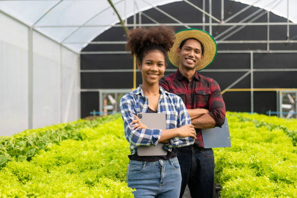 istock Two asian gardeners working in hydroponics vegetable farm holding tablet walking checking vegetables for harvest, male and female farmer holding green salad box looking at camera with smile in farm 1487768812