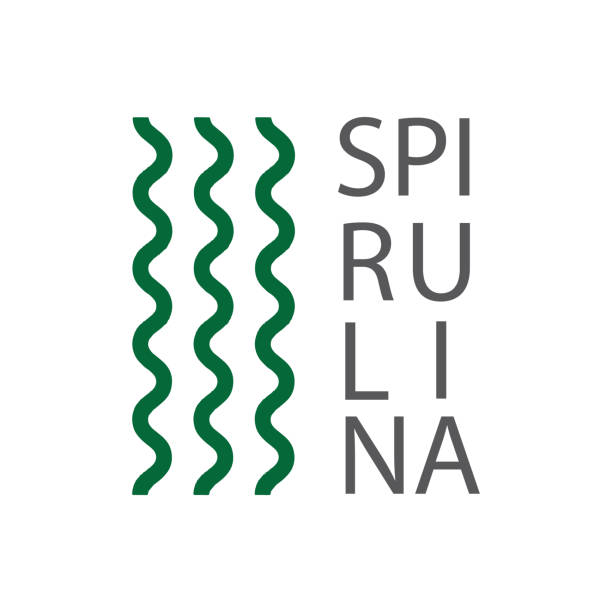 illustrazioni stock, clip art, cartoni animati e icone di tendenza di spirulina, cibo sano biologico. - icona, etichetta, vettore. - spirulina pacifica illustrations