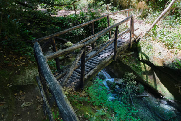 istock wooden bridge over the river alento in abruzzo 1487771050
