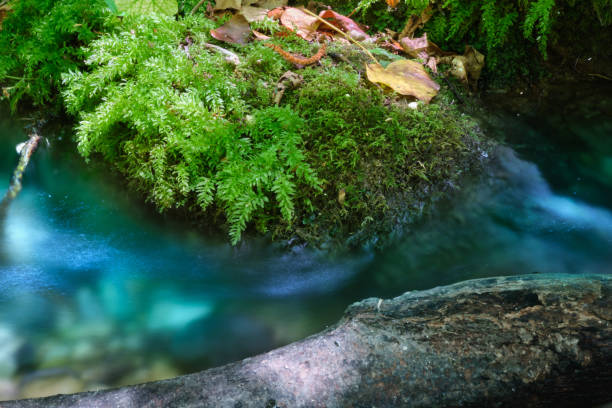 istock small watercourse in the Alento River Park in Abruzzo 1487771286