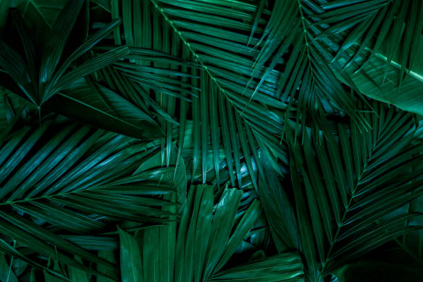 istock Nature leaves, green tropical forest, backgound illustration concept 1487771389