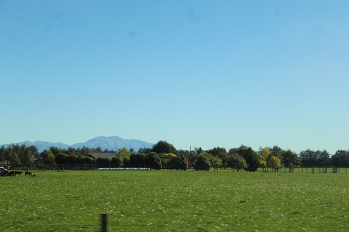 farmin in Canterbury region, New Zealand