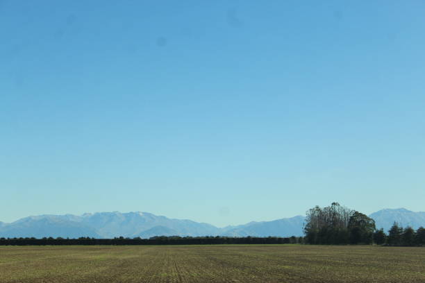 istock Canterbury, New Zealand 1487772706