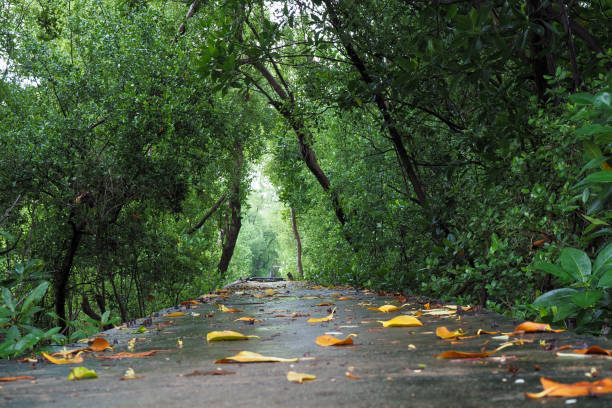 The walkway to Wat Khun Samut Chin temple (new attraction ) decorated with buddhist bells in Samut Prakan Province ,Thailand