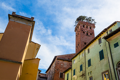 Guinigi Tower is a 44.5 meter high tower with oak trees on the top.Lucca-Tuscany-Italy