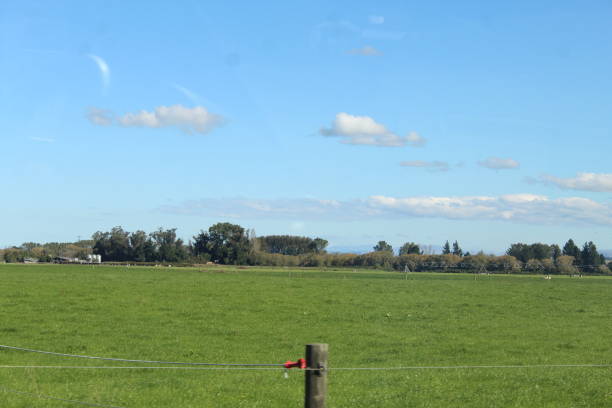 istock Canterbury, New Zealand 1487774459