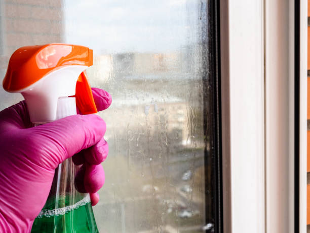 istock hand in pink glove sprays liquid on window closeup 1487775454