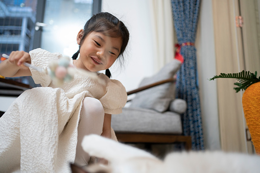 Cute little girl playing with cat