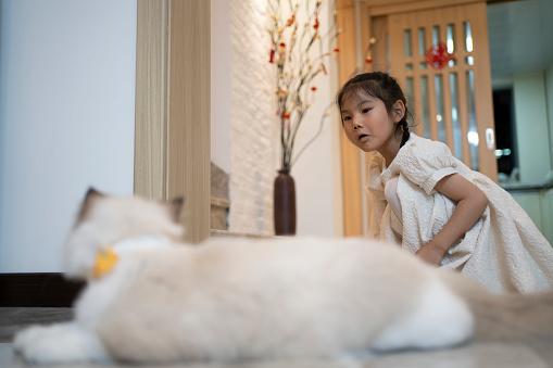 The little girl and her pet cat are playing