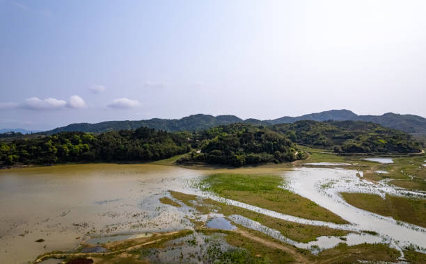 istock Tea plantation by the water 1487779504