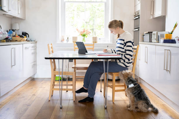 istock Teenage girl sitting doing homework at kitchen table studying for her GCSEs 1487781127