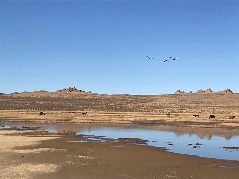 Lake in mini Gobi desert, Mongolia