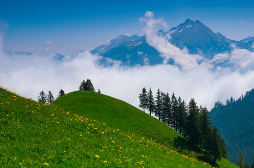 Green alpine meadows and mountain peaks in Swiss alps. Scenic nature of Switzerland in Engelbergtal