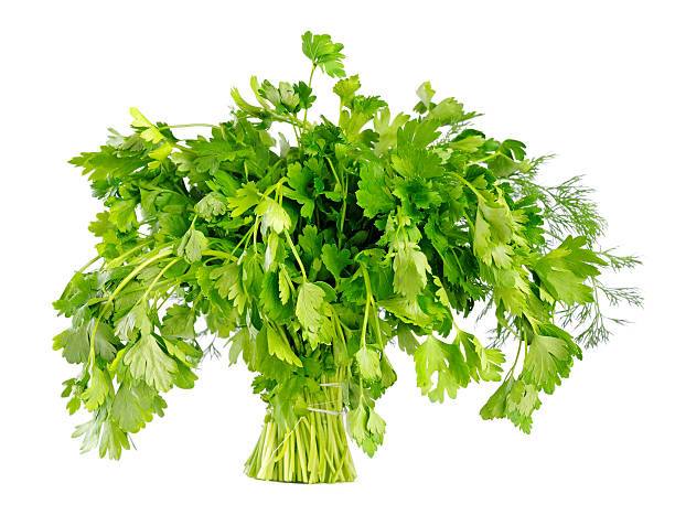 istock Bunch of parsley 148778788
