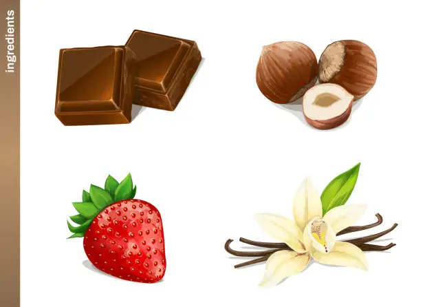 Vector illustration of Chocolate, Hazelnuts, Vanilla and Strawberry. Vegetarian, organic food. Vector Illustration.