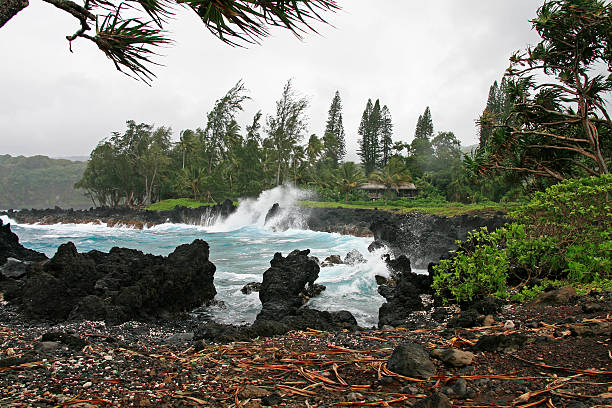 istock Rough coastline of Maui during a storm 148779316