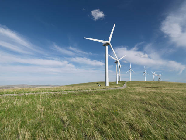 istock Row of wind turbines in grassy field 148779378