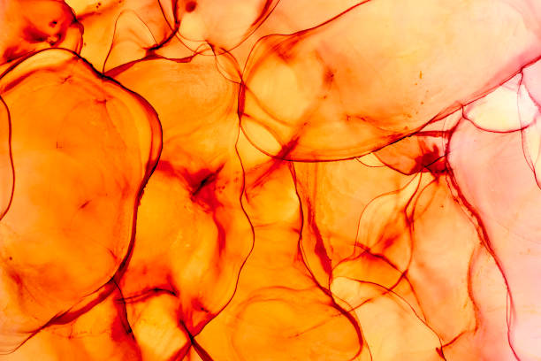 istock Alcohol ink fluid abstract art drawing photo shotting. 1487795462