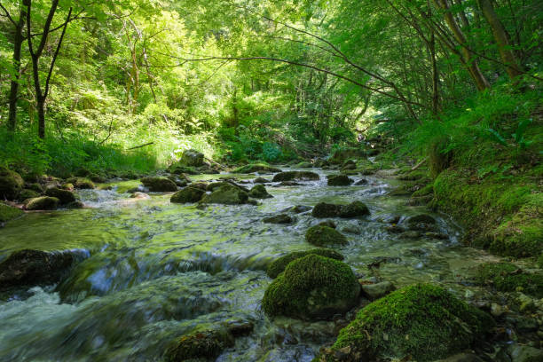 istock orfento river valley inside the majella mountain complex in abruzzo italy 1487800260