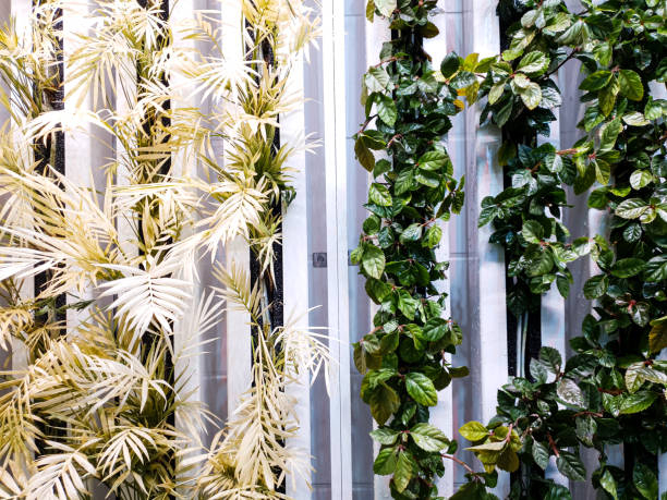 istock plant photos for background 1487803862