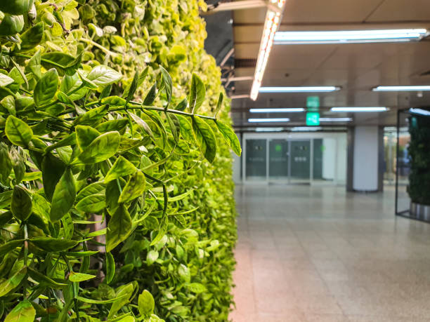 istock plant photos for background 1487804333