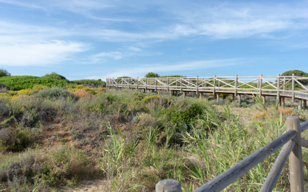 istock wooden footbridge on a marbella beach 1487804992