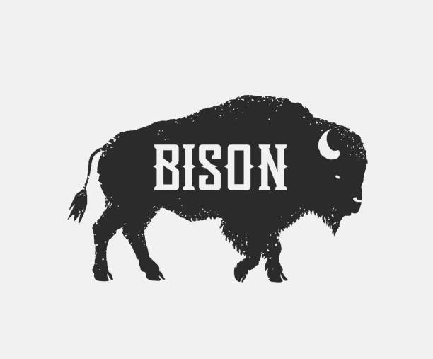 Symbol of the silhouette of a bison (bull). Symbol of the silhouette of a bison (bull), in the form of standing on his feet and looking forward. Vector illustration. american bison stock illustrations