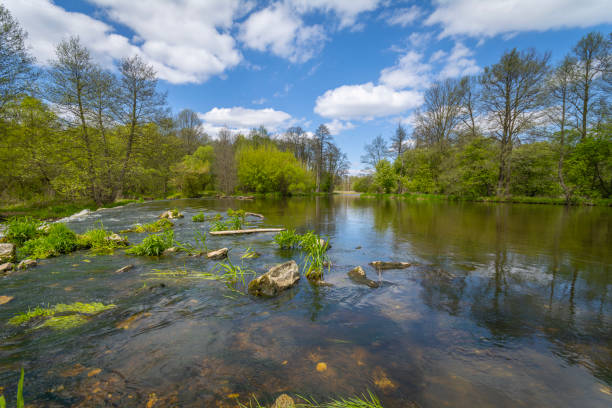 istock Spring on the banks of the Warta River, Poland. 1487806492