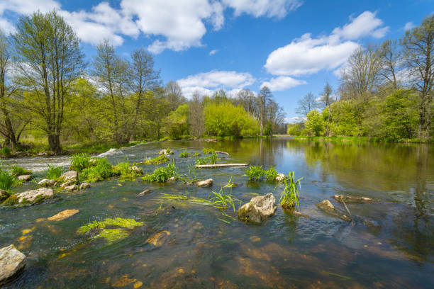 istock Spring on the banks of the Warta River, Poland. 1487806893