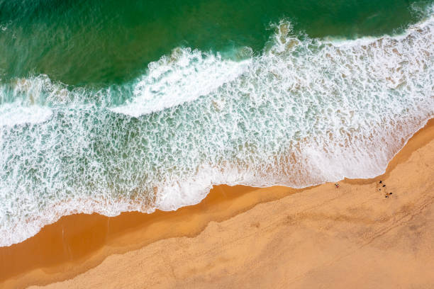 istock Aerial view ocean wave and sandy beach 1487808003