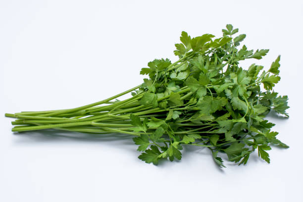 persil feuilles sur fond blanc - flat leaf parsley photos et images de collection