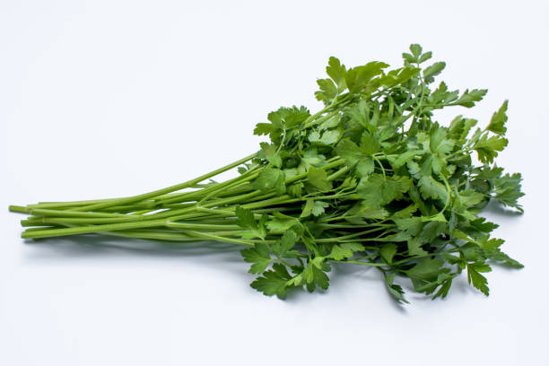 잎 파슬리 (흰색 배경 - flat leaf parsley 뉴스 사진 이미지