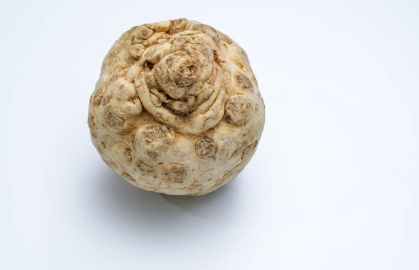 Celery root on a white background isolated single celery root on light background with space for text Celeriac stock pictures, royalty-free photos & images